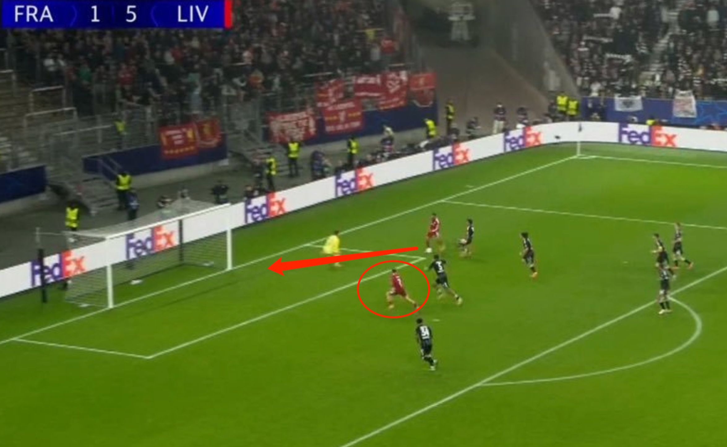 他选择了自, 年以来连续, ta