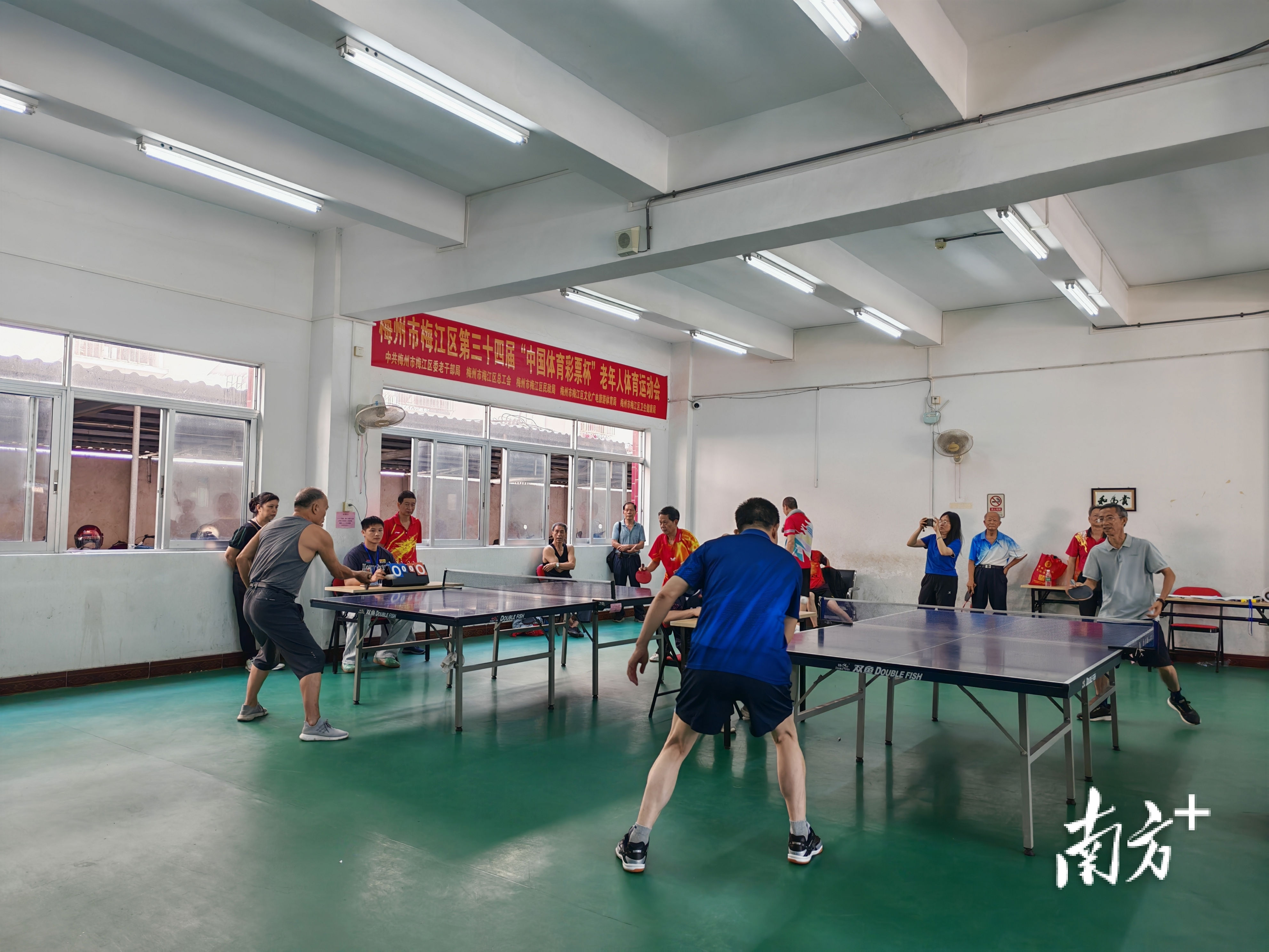 情暖重阳心, 南方